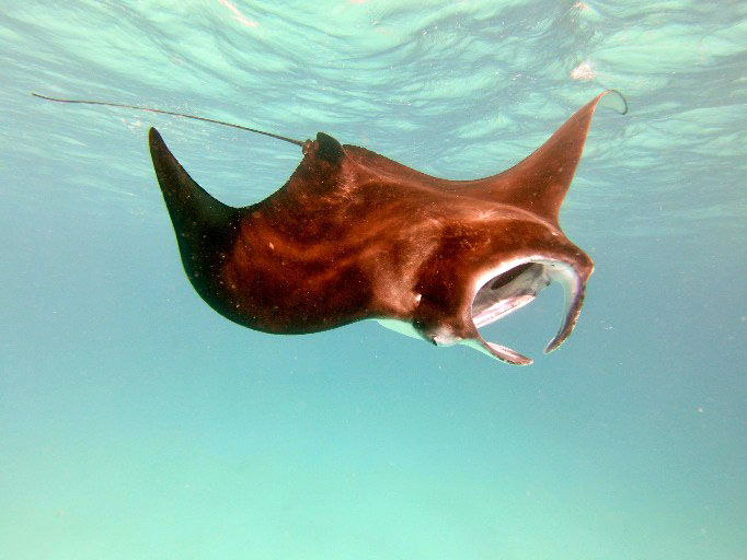 2023 - 07 - Sandies Bathala - 244